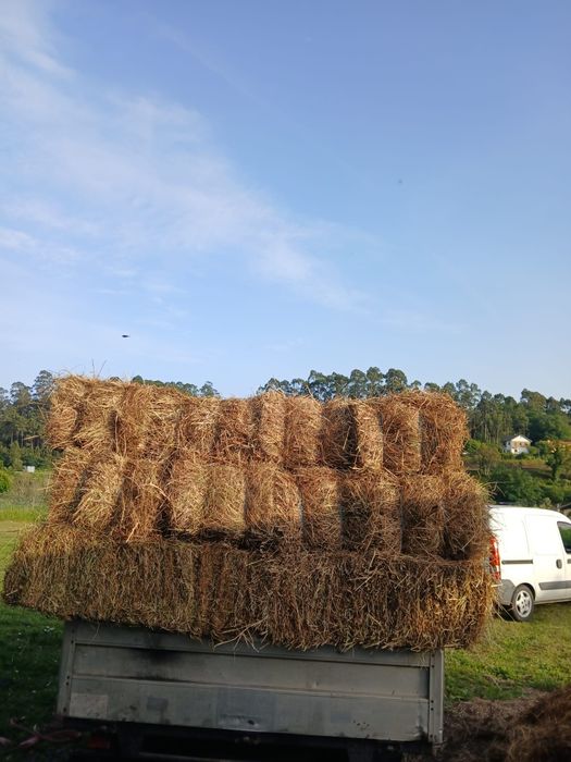 Vendo fardos de palha