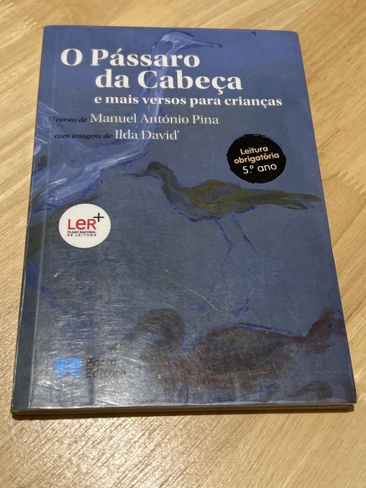 Livro “O Pássaro da Cabeça e mais versos para crianças”