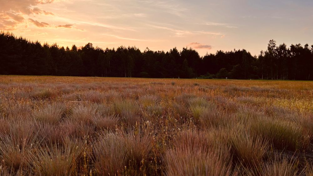 Sprzedam działkę budowlaną - Widok 3