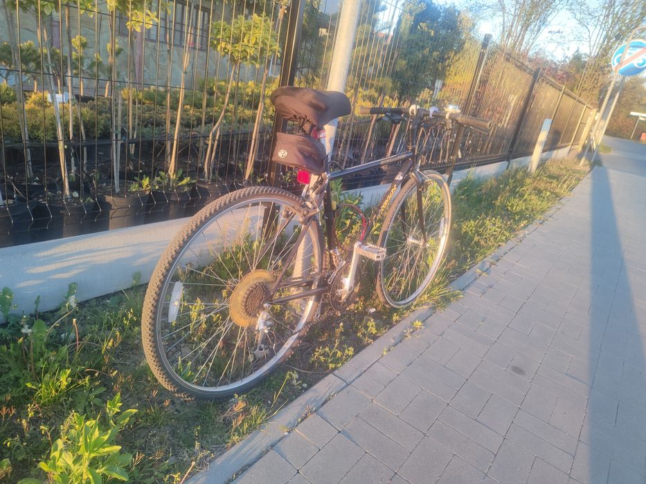 Rower Specialized
