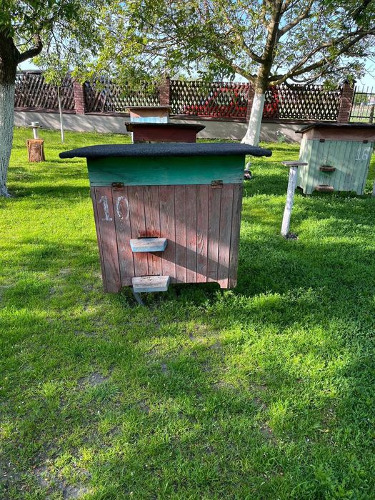 Вулики для пасіки