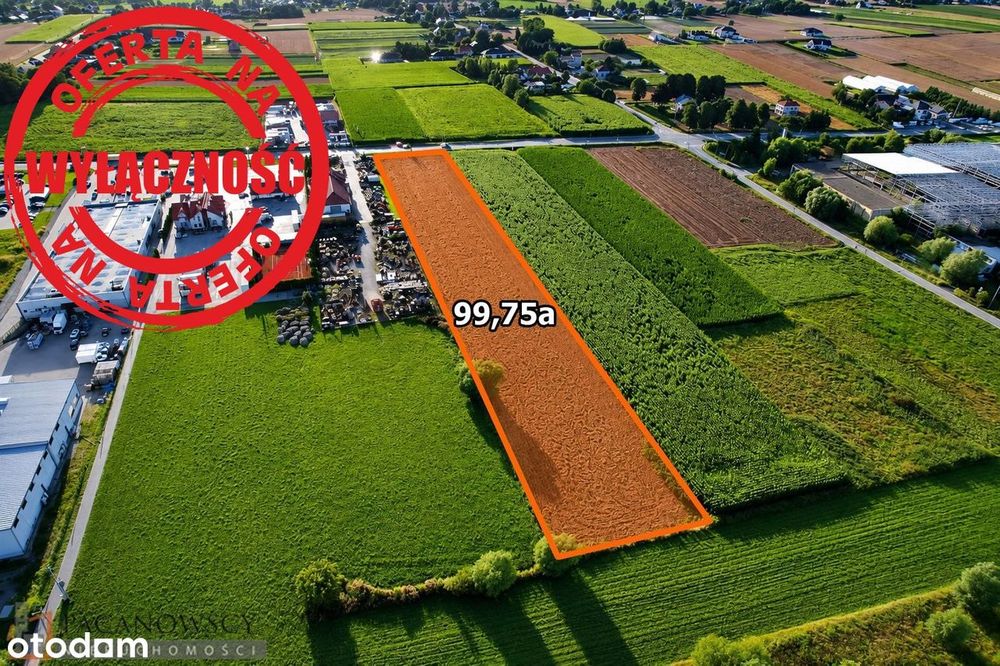 Działka na sprzedaż, Proszowice (gw) - Widok 4