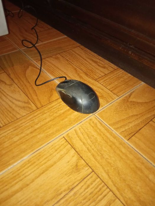 Selling PC monitor + keyboard + mouse64730075156994122