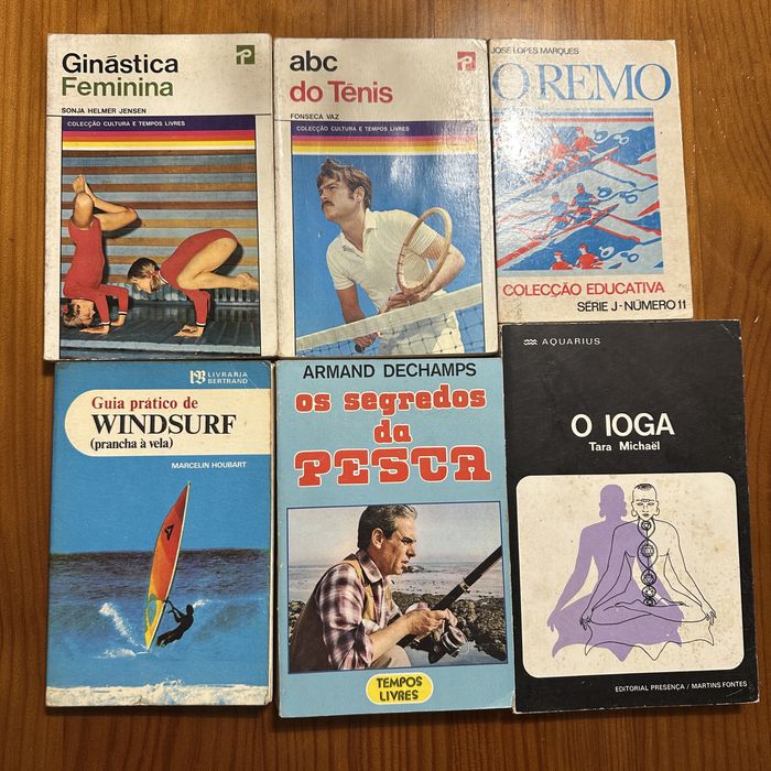 Conjunto de livros hobbies