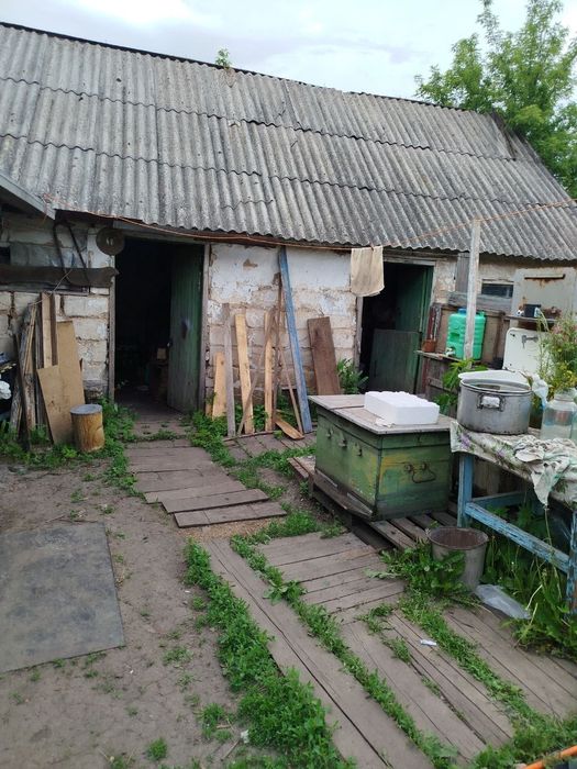 Дом с участком с.Котовка