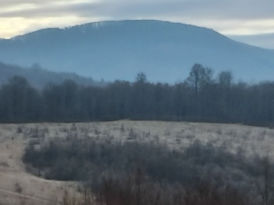 Продаю земельну ділянку  на березі річки  Латорица  у Свалява