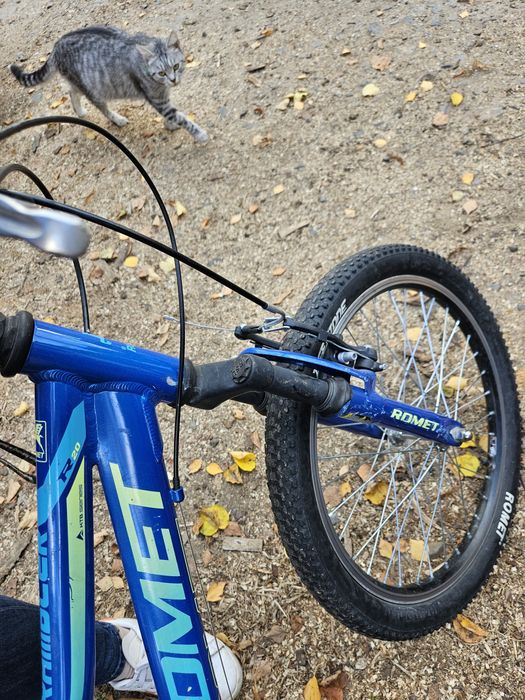 Rower romet niebieski