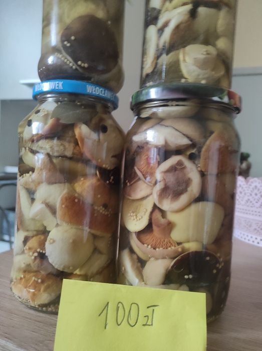 Grzyby w zalewie octowej duży wybór