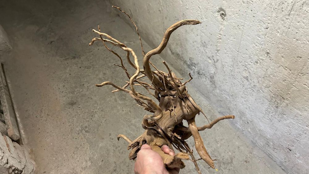 Korzeń do akwarium Idealny! [cena sklepowa 299zł]