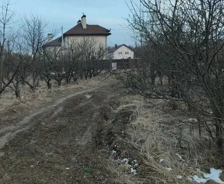 земельна ділянка Чабани Київська область Фастівський район