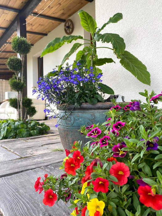 Domek całoroczny Roztocze Szostaki