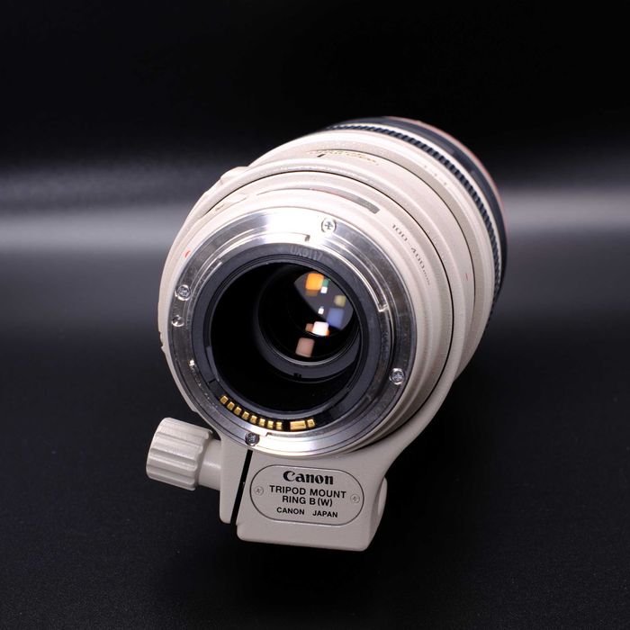 Canon EF 100-400mm f/4.5-5.6 L IS USM