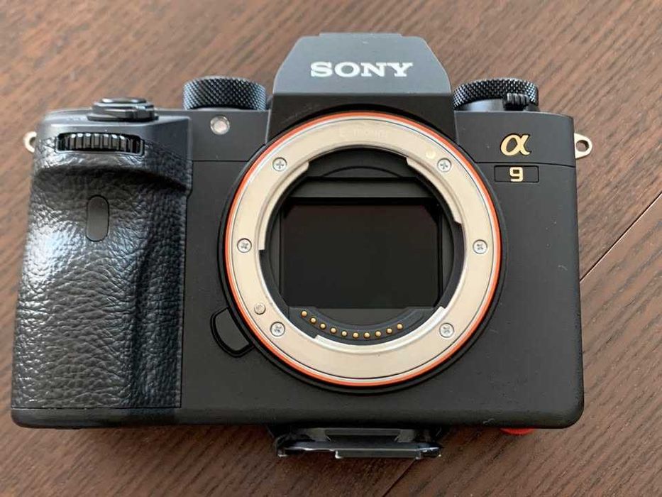 Sony A9 ILCE-9 Alpha 9 Shutter Count 419