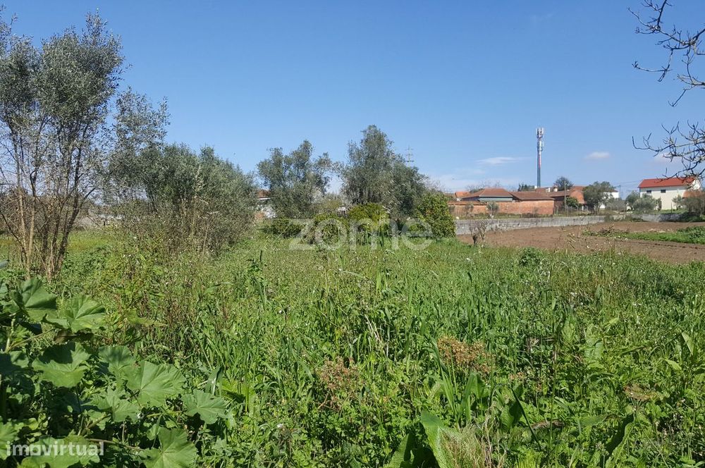 Terreno urbanizável em Milagres