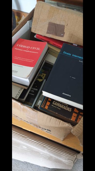 Lote de dezenas de livros