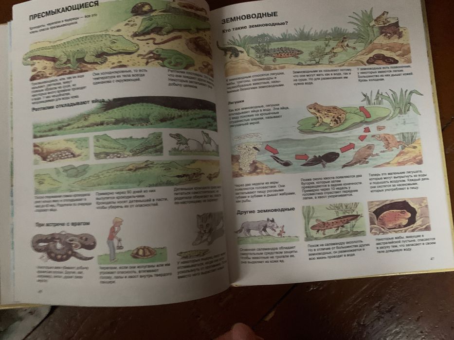 Энциклопедия книжка
