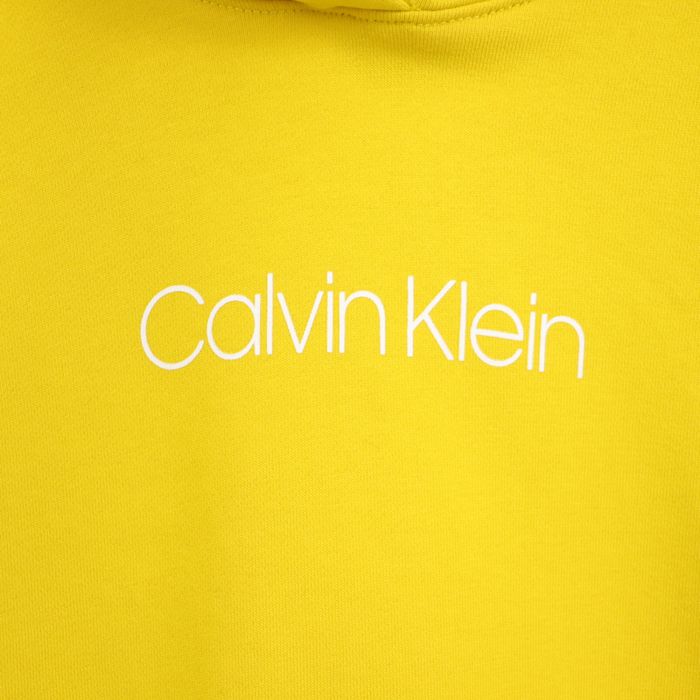 Чоловічий Худі Calvin Klein