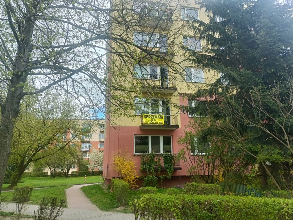 Mieszkanie Klonowa,1 piętro, 48 M2,,2 pokoje,Uroczysko - Widok 2
