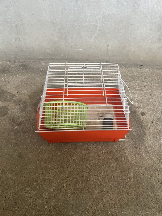 Gaiola para hamster