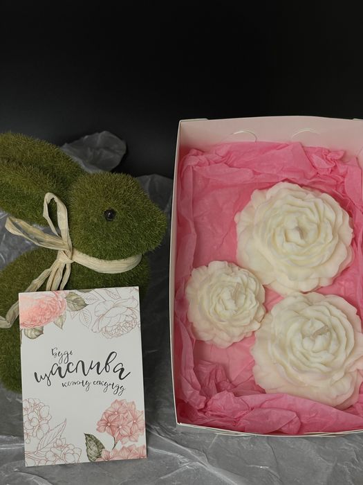 Квіти до 8 березня, які принесуть користь