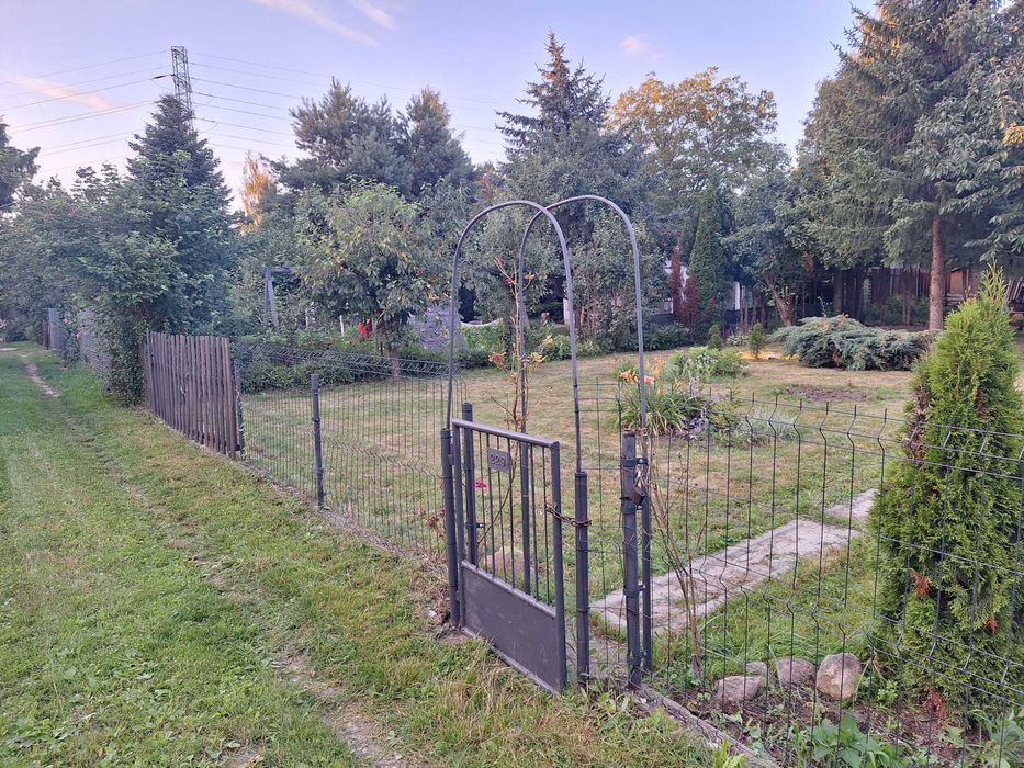 Działka ROD Augustówka 554m2