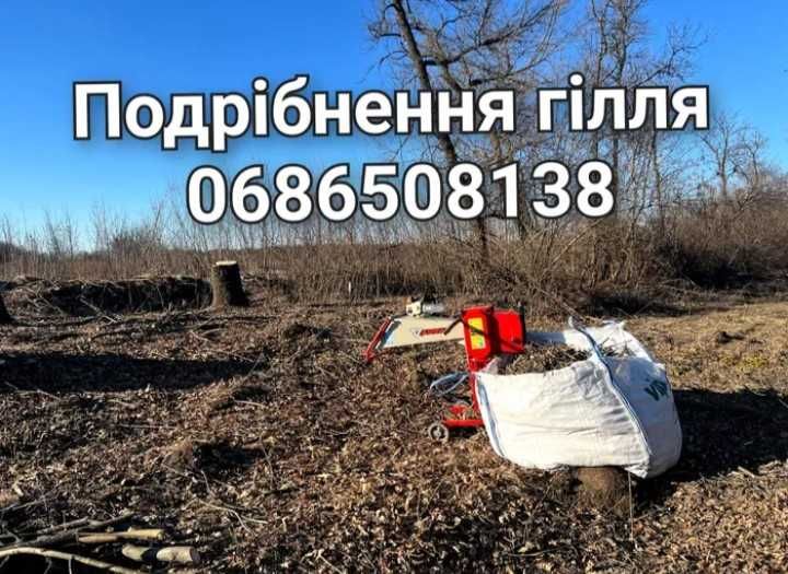 Розчистка ділянки під ключ