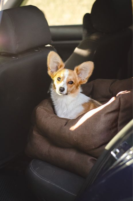 Автокрісло /автогамак для собак