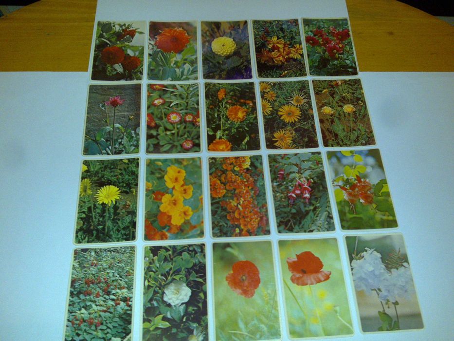 flores - coleção primavera (100 calendários) 1985 rara