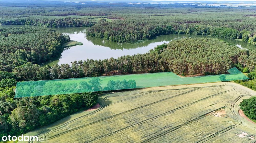 Działki budowlane nad Zalewem Bledzewskim. Las, jezioro i natura. - Widok 3