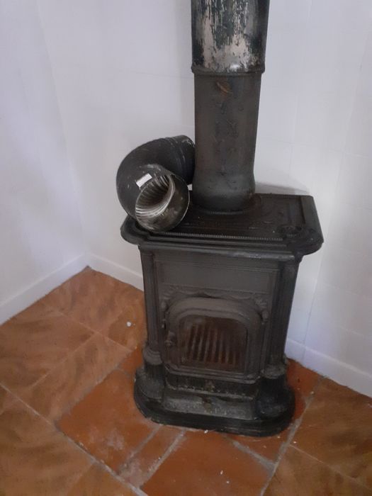 Salamadra em bom estado