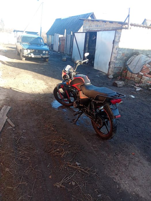 Продам мустанг фвості 150