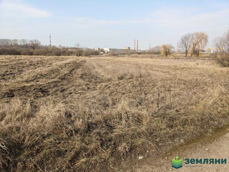 Продається земля 77,63 сот під ОСГ, с. Ямниця (5)