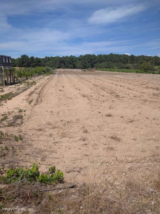 Terreno Foros De Salvaterra Para Construção