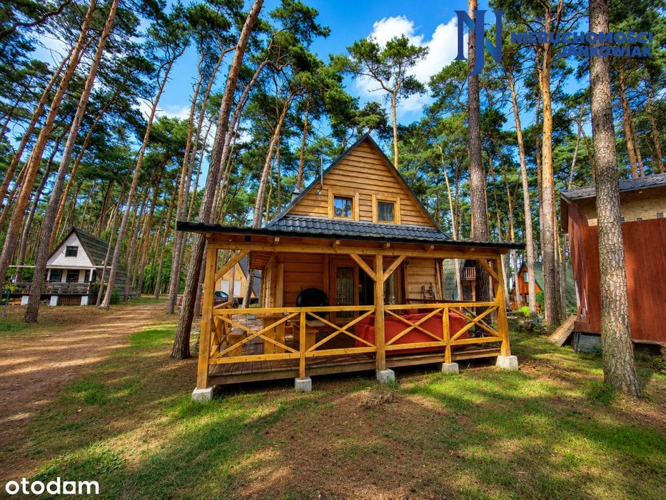 Domek nad Jeziorem Błędno | Las i plaża