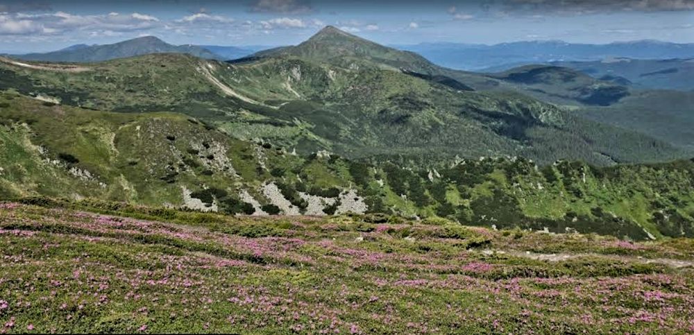 Терміново! 1,47 га біля Буковелю. Панорамний вид на гори. Ідеально під котеджі