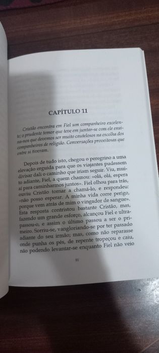 Livro O Peregrino