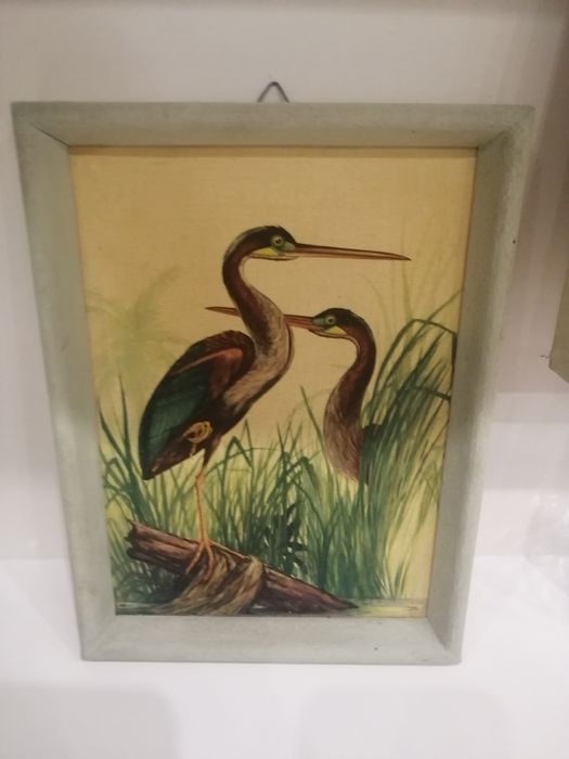 Quadros vintage 2423648105543116802