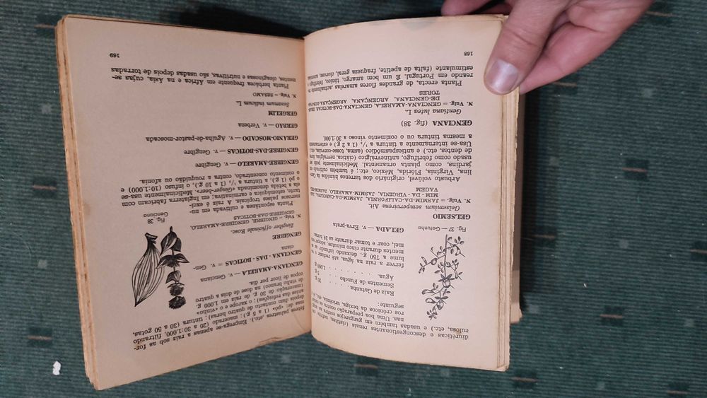 Medicina pelas plantas - Dr. Oliveira Feijão