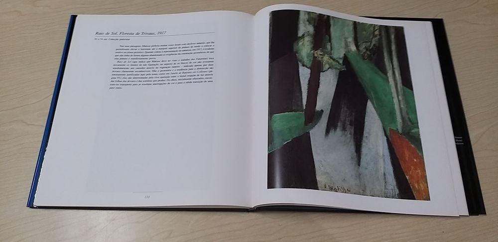 Matisse de Gérard Durozot.