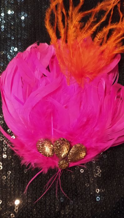 Broszka różowe piórka