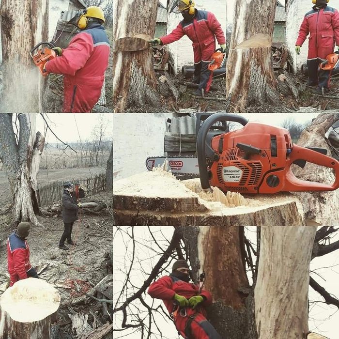 Спил аварійних дерев спиляти дерево бензопильщик вальщик