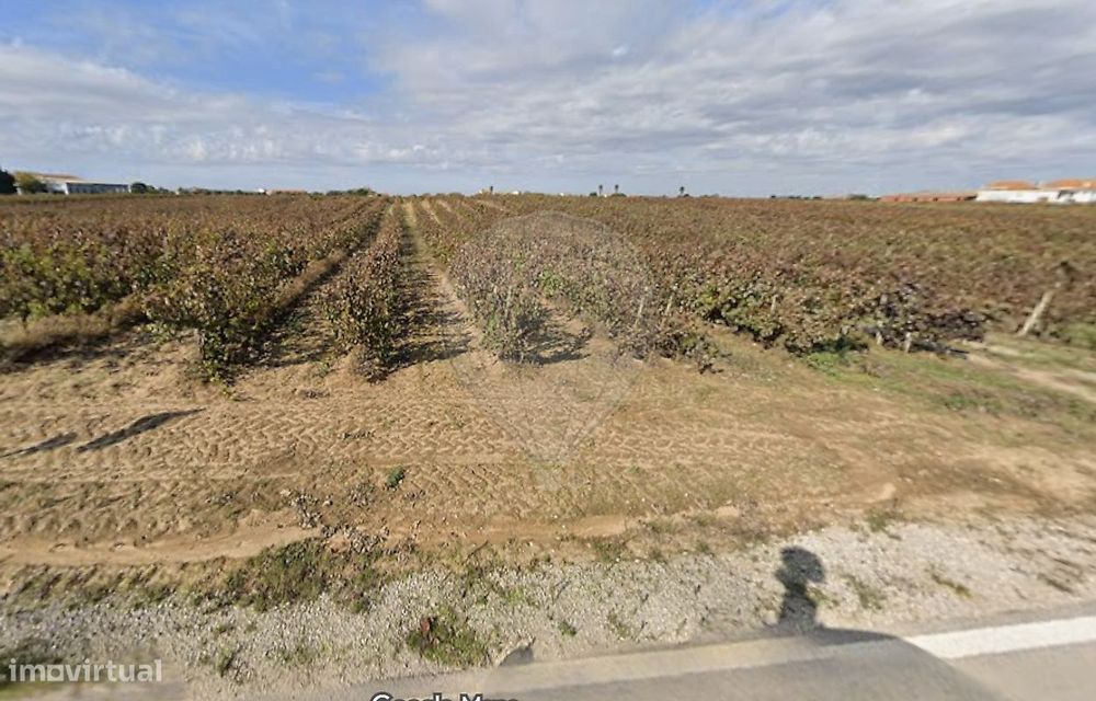 Terreno  para venda