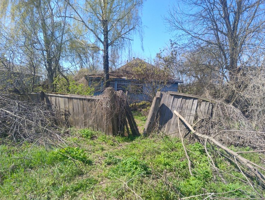 Продам будинок  в селі Чапліївка