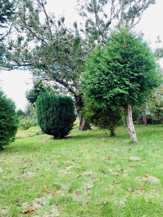 Działka ROD 495 m² – Słupsk, al. 3 Maja / ROD XX-lecia