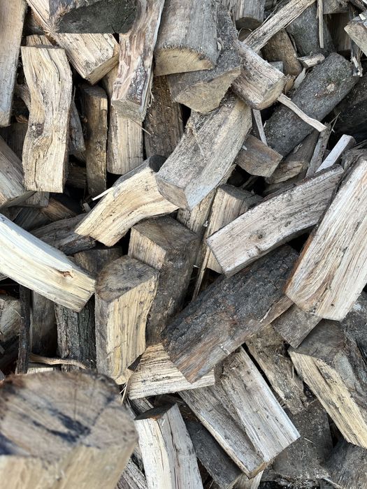 Drzewo opałowe sosna brzoza dąb