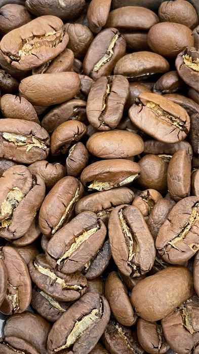 Ростер COGEN  C6