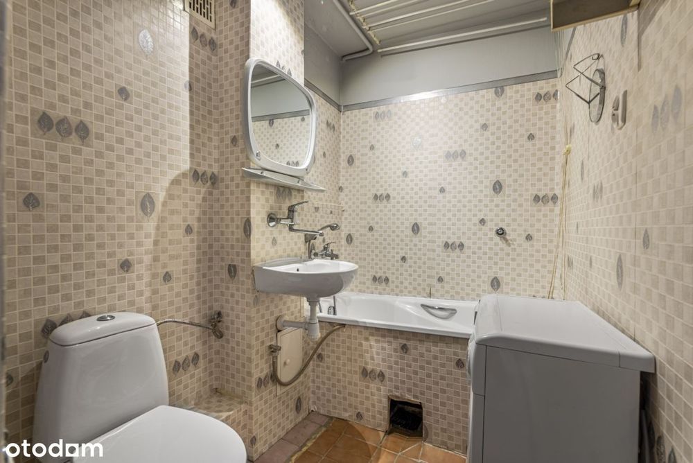 Samo centrum, pet friendly, od zaraz!