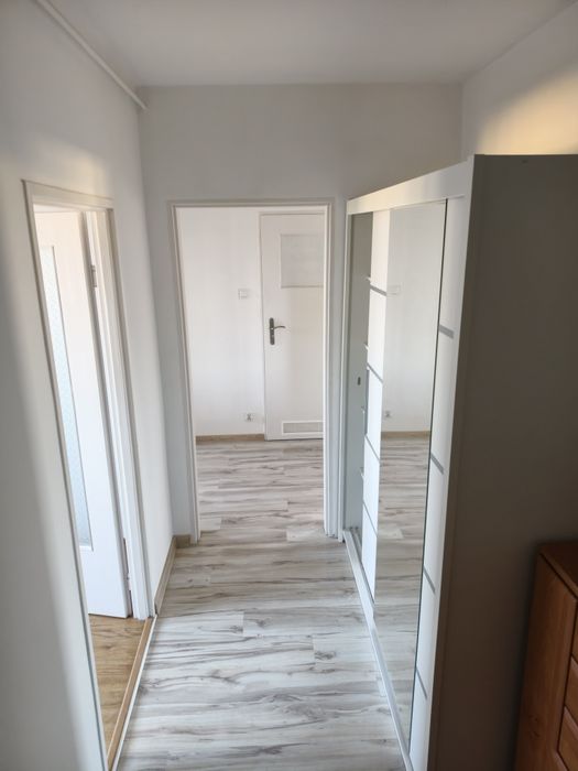 Wynajmnie mieszkanie 53m2 Osiedle Poręby .