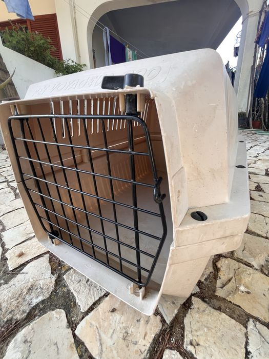 Caixa para transporte de animal