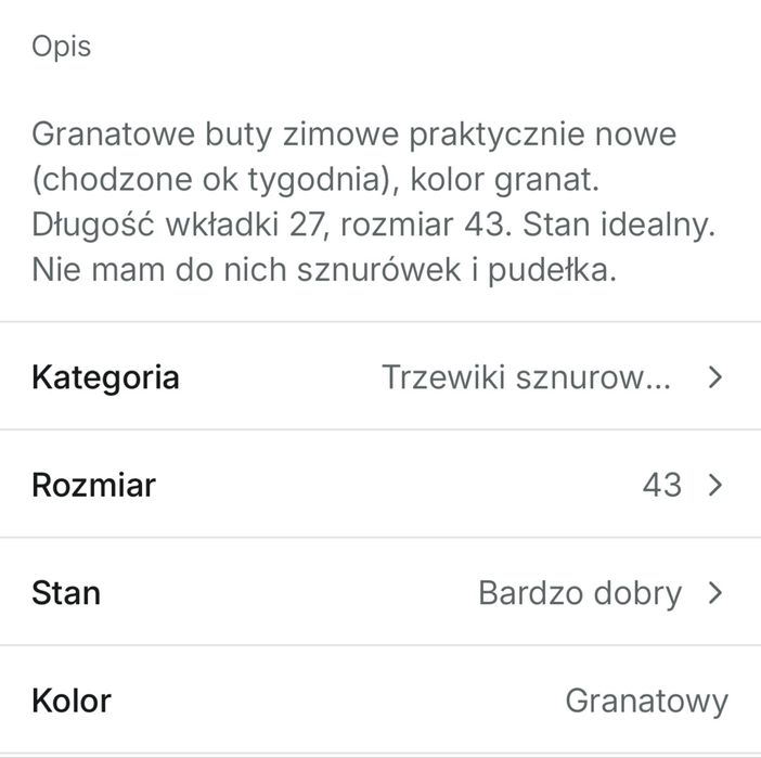 Buty męskie zimowe